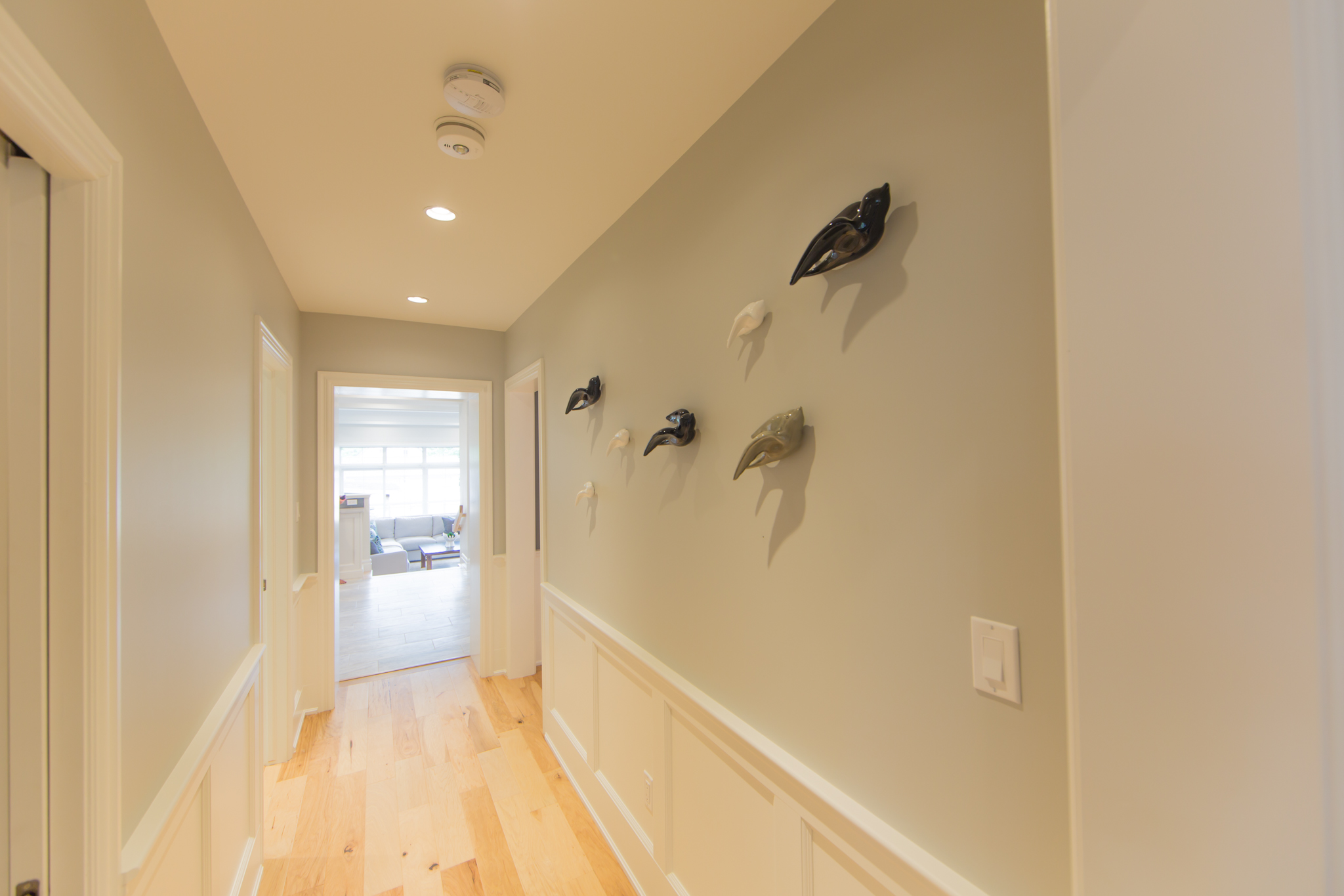 Wellington Photos 26