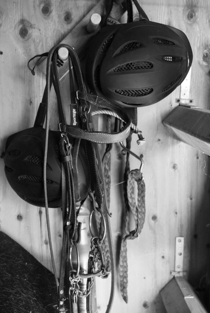Horse tack