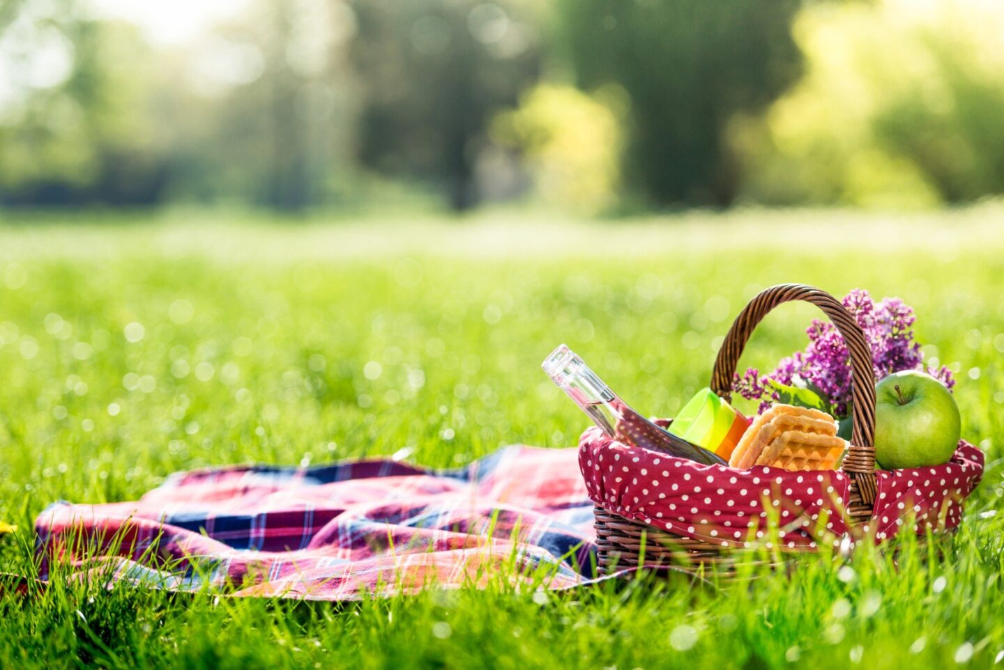 kitchener summer activities