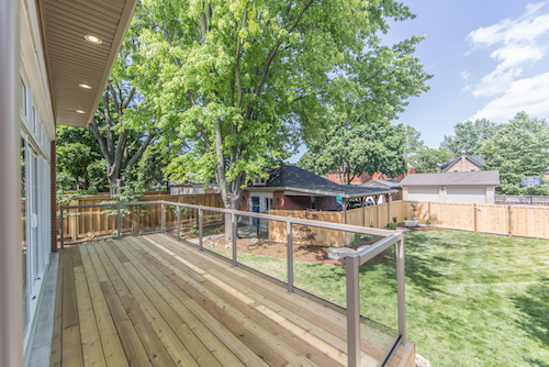 Wellington Photos 12