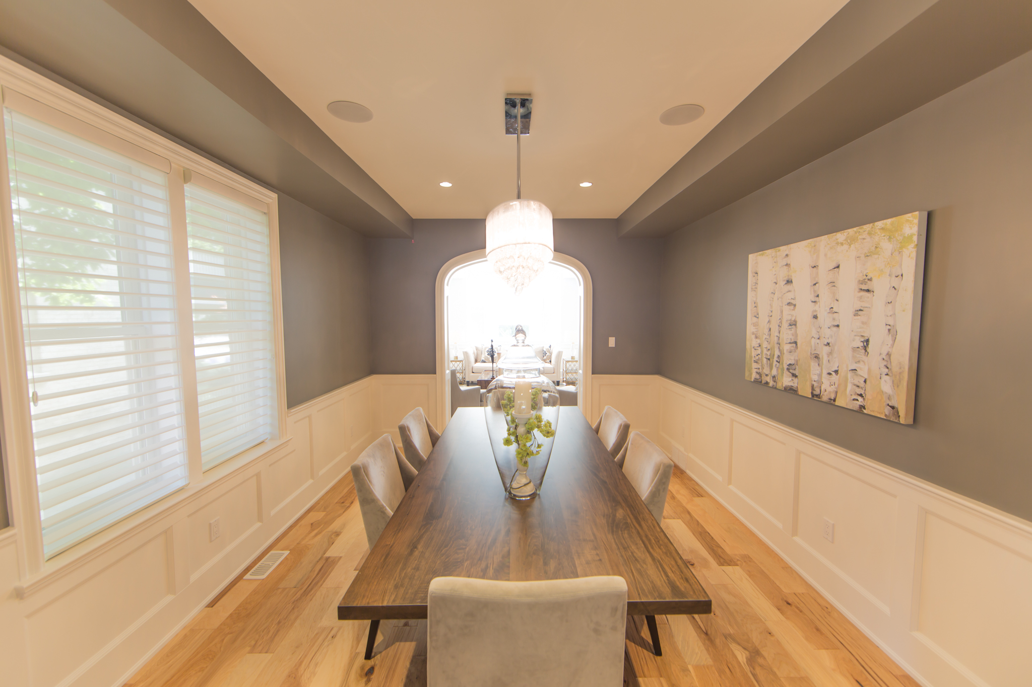 Wellington Photos 20