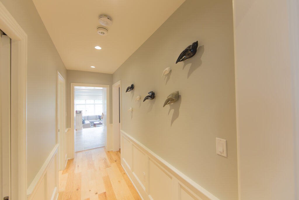 Wellington Photos 26