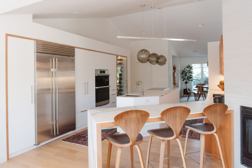 Sleek Walkout - Kitchen