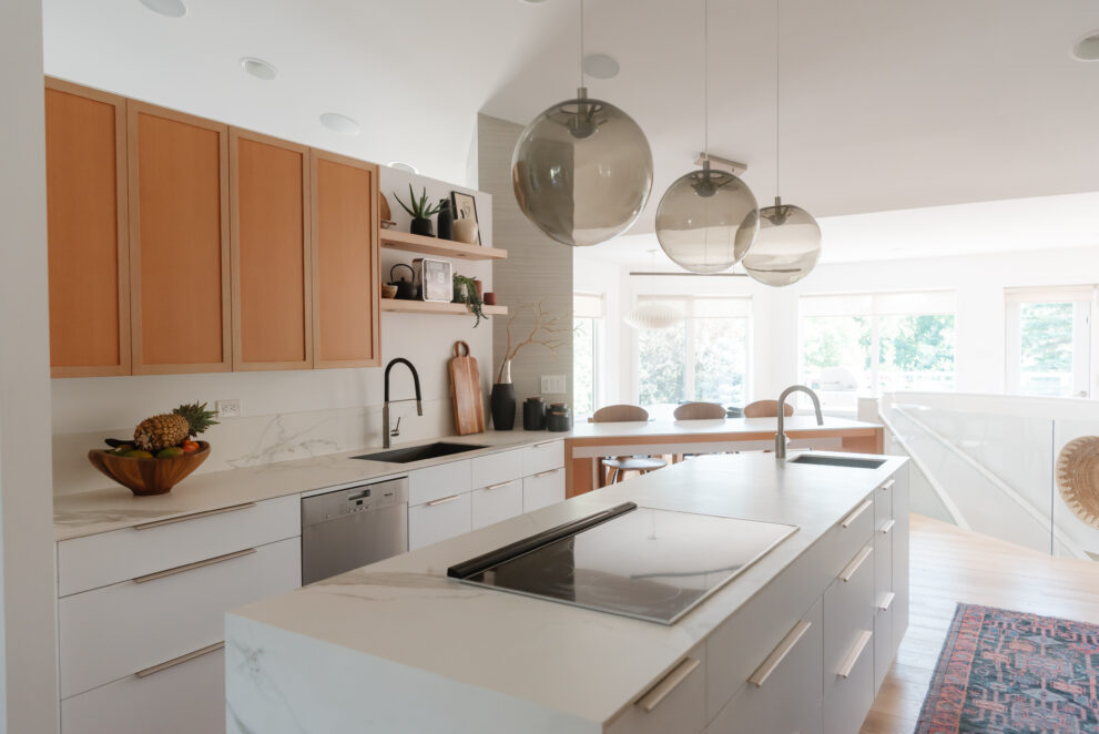 Sleek Walkout - Kitchen