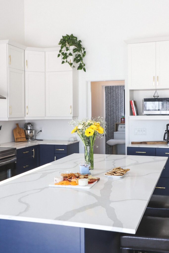 Navy Mod Custom - Kitchen