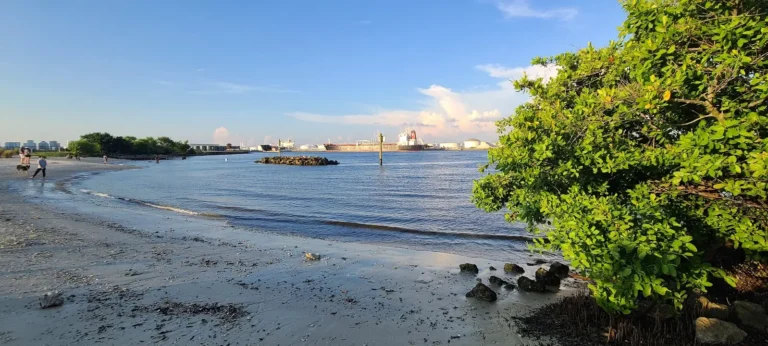 Davis Islands Beach Tampa Florida